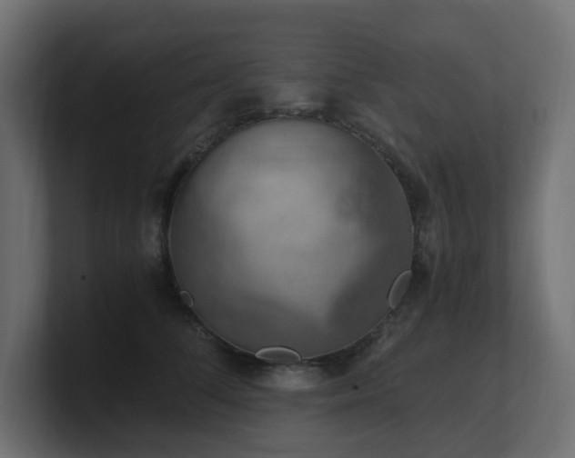 X0000100930708200806241405