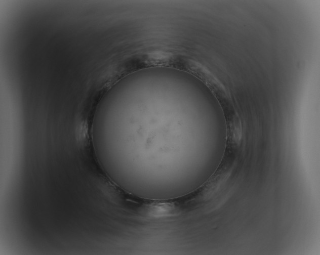 X0000100930711200806241405