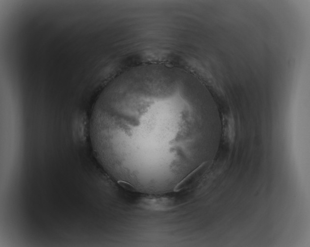 X0000100930712200806241405