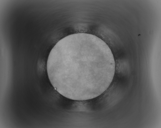 X0000100930713200806241405