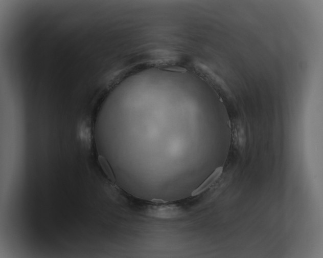 X0000100930716200806241405