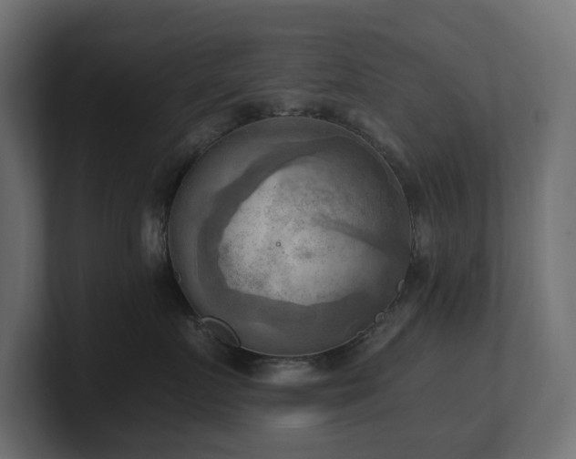 X0000100930719200806241405