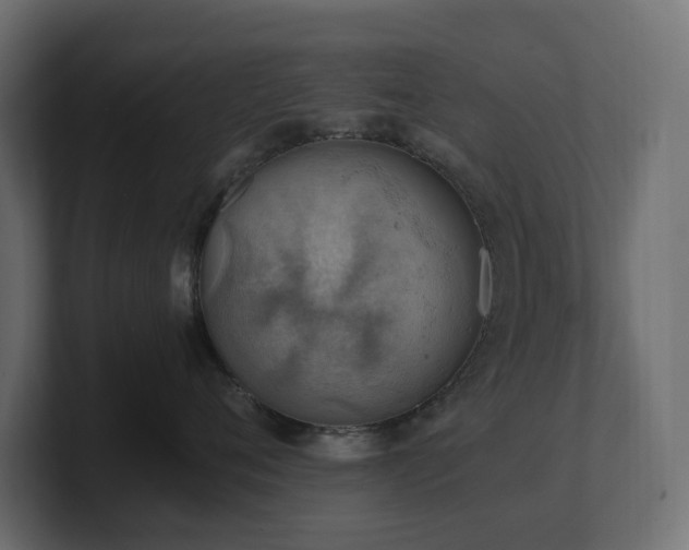 X0000100930720200806241405