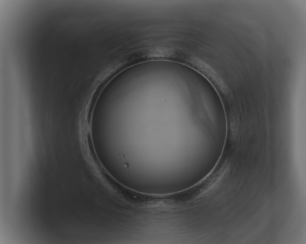 X0000100930721200806241405