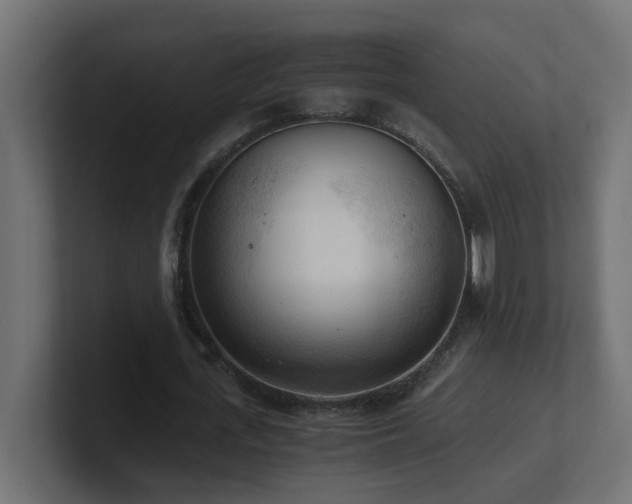 X0000100930723200806241405