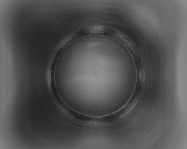 X0000100930725200806241405