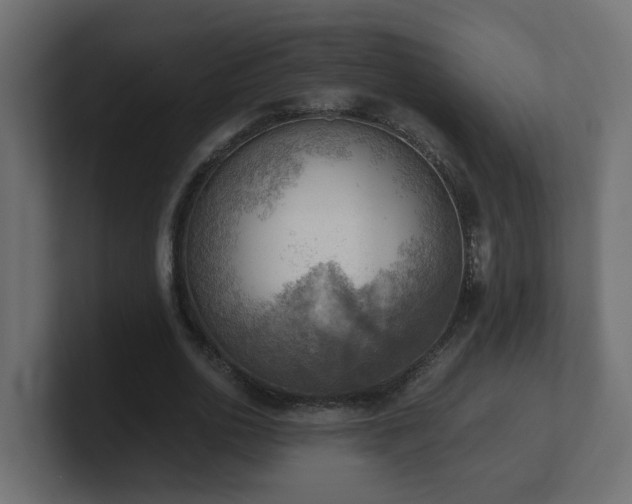 X0000100930726200806241405