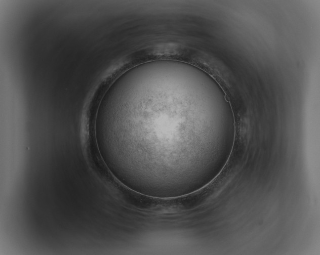 X0000100930727200806241405