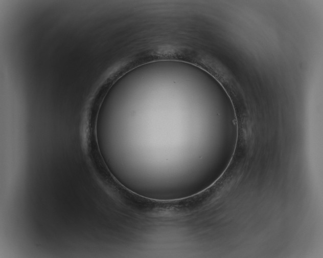 X0000100930728200806241405