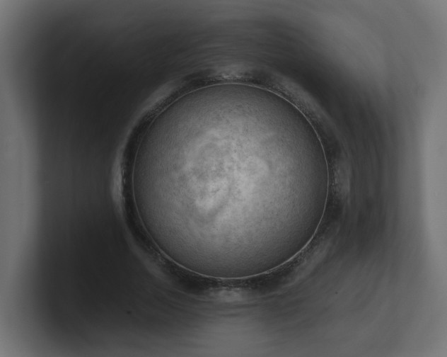 X0000100930730200806241405