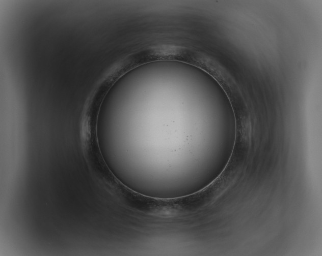 X0000100930731200806241405