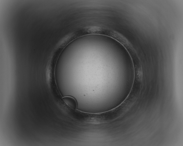 X0000100930732200806241405