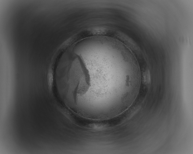 X0000100930733200806241405