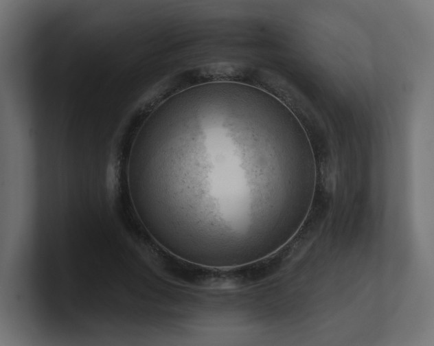 X0000100930735200806241405