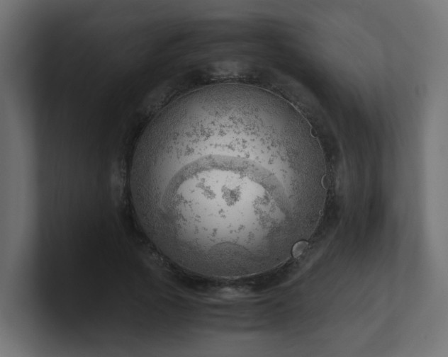 X0000100930737200806241405