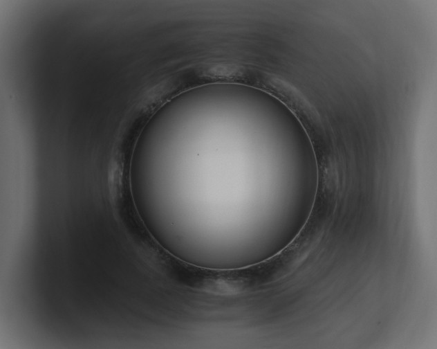 X0000100930739200806241405