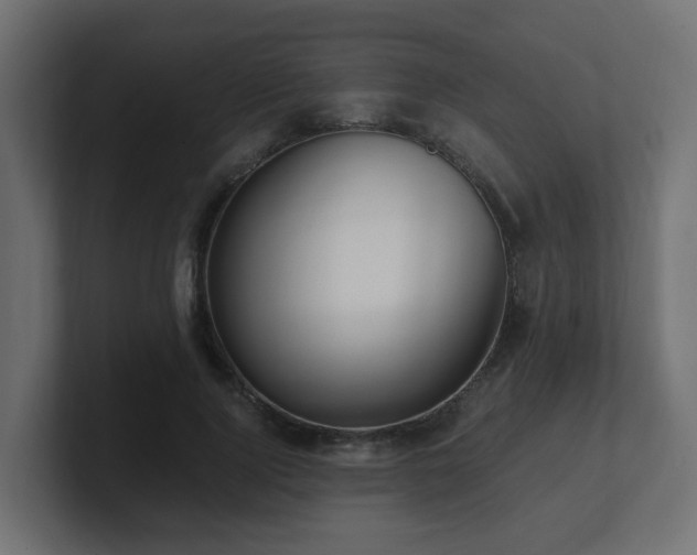 X0000100930740200806241405