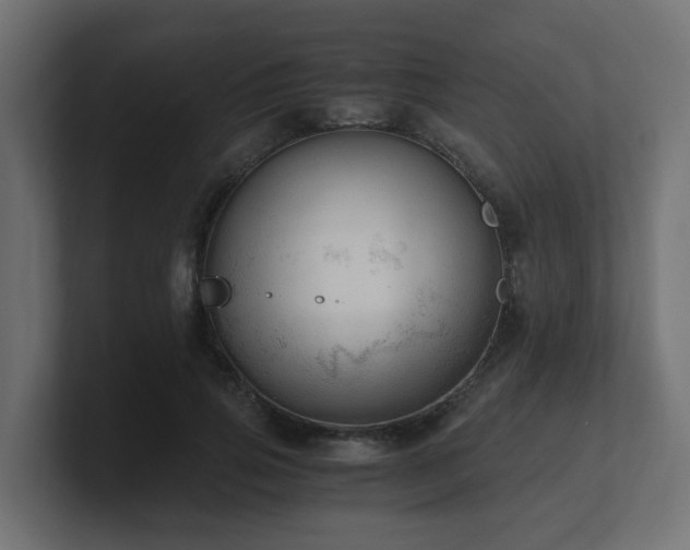 X0000100930741200806241405