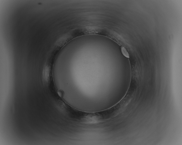 X0000100930742200806241405