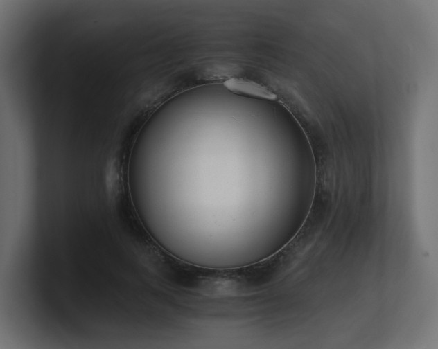 X0000100930743200806241405