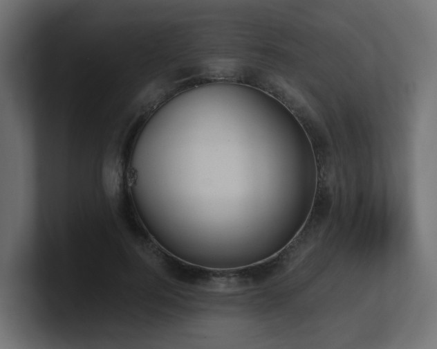 X0000100930744200806241405