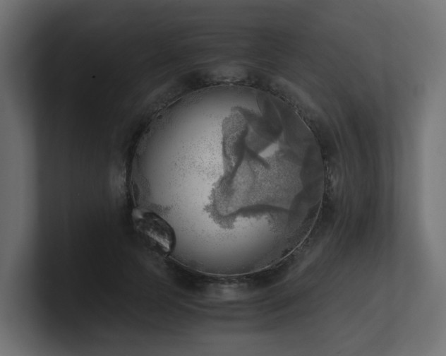 X0000100930745200806241405