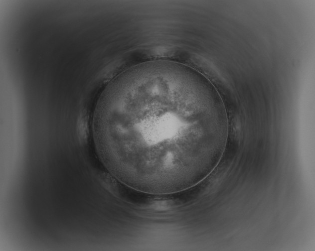 X0000100930746200806241405