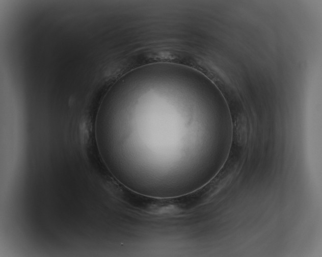 X0000100930747200806241405