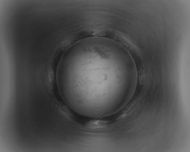 X0000100930748200806241405