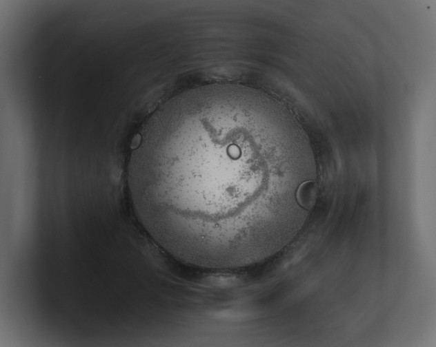 X0000100930749200806241405