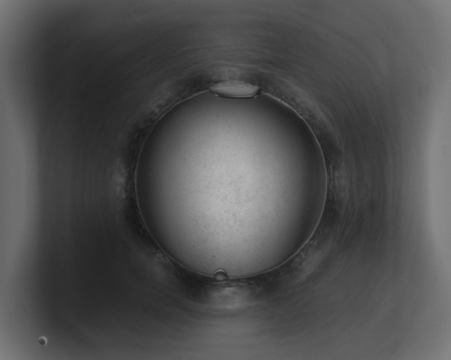 X0000100930750200806241405