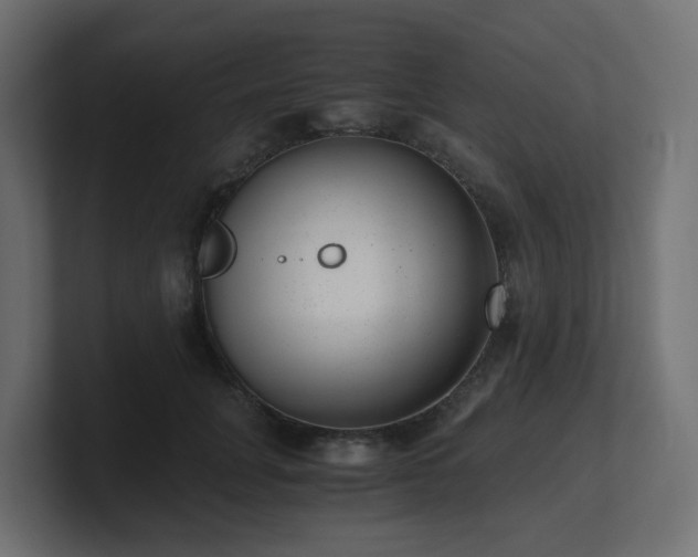 X0000100930751200806241405