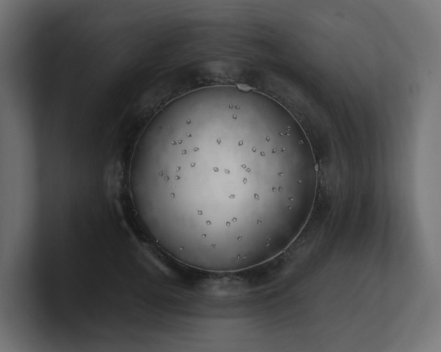 X0000100930752200806241405