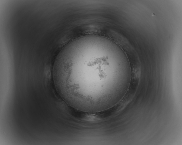 X0000100930753200806241405