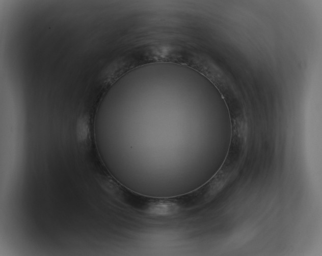 X0000100930754200806241405