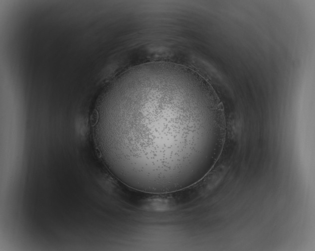 X0000100930756200806241405