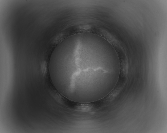 X0000100930758200806241405