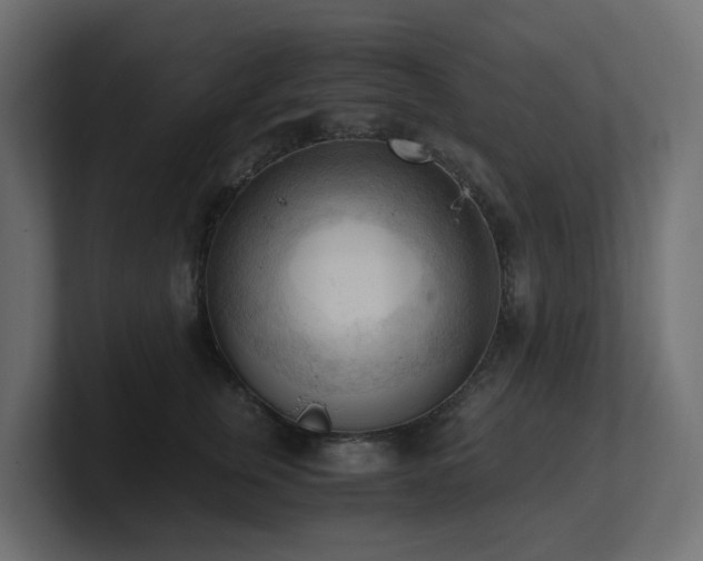 X0000100930759200806241405