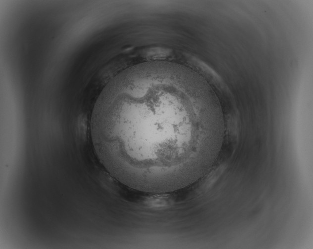 X0000100930761200806241405