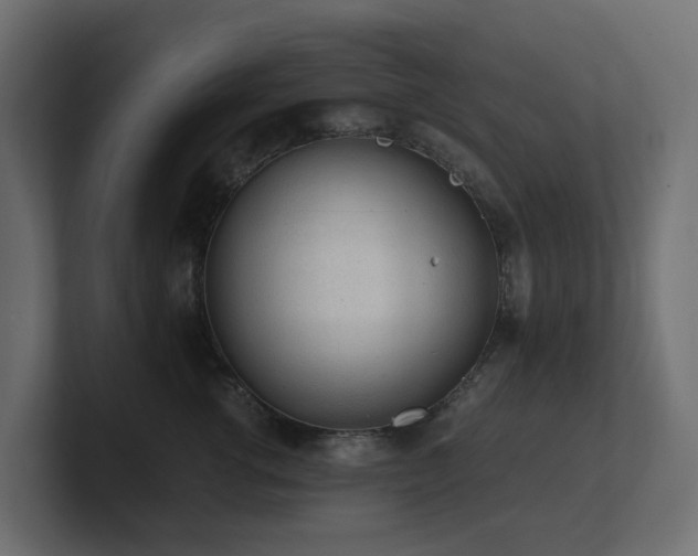 X0000100930762200806241405