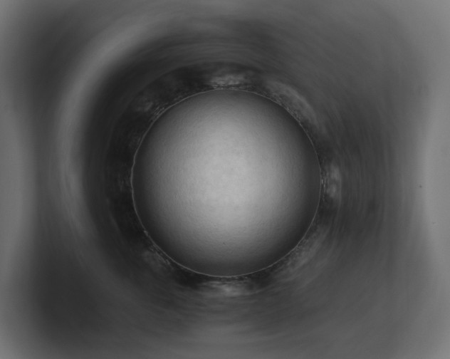 X0000100930763200806241405