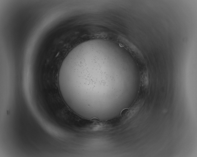 X0000100930764200806241405