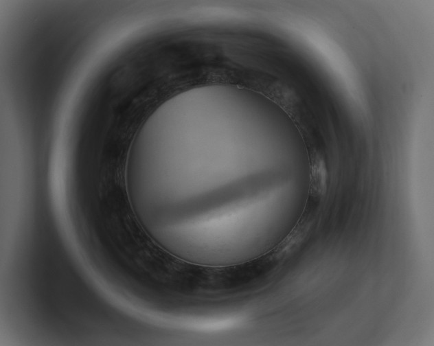 X0000100930765200806241405