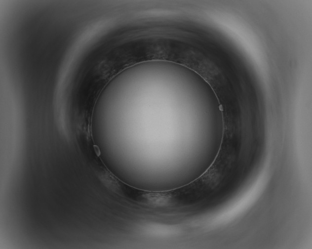 X0000100930766200806241405