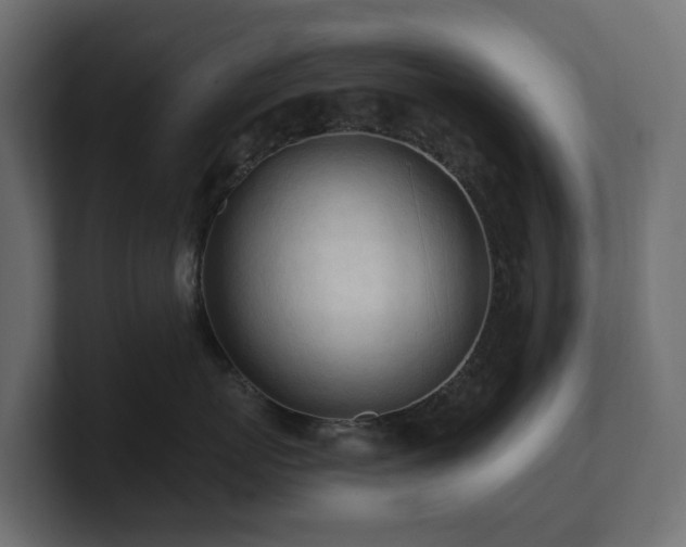 X0000100930767200806241405