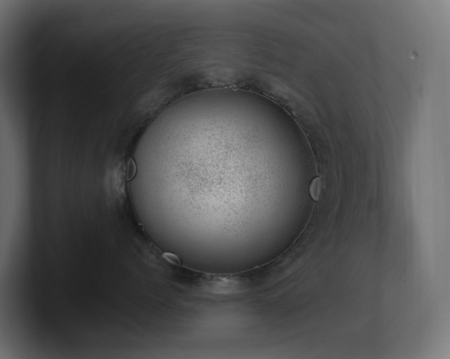 X0000100930768200806241405