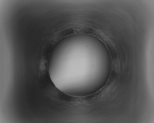 X0000100930770200806241404