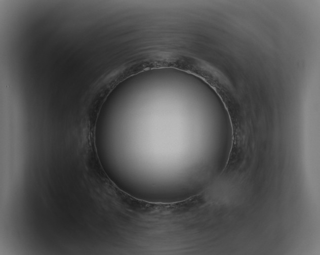 X0000100930773200806241404