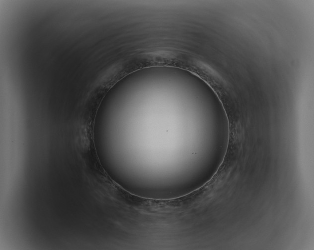 X0000100930774200806241404