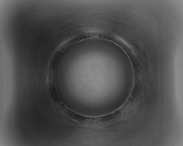 X0000100930775200806241404